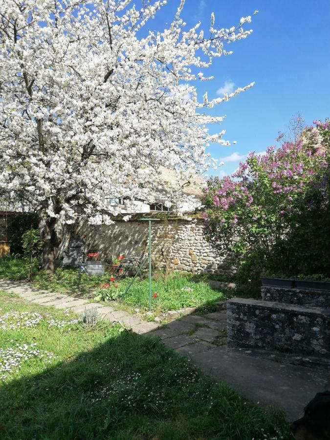 Chez Marylene Apartment Soisy-sur-Ecole Exterior photo